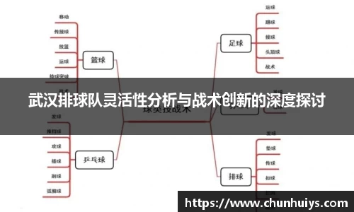 武汉排球队灵活性分析与战术创新的深度探讨